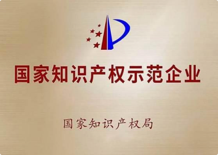 National intellectual property demonstration enterprise certificate