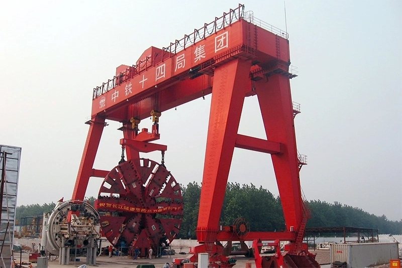 Gantry Crane With Shield-3