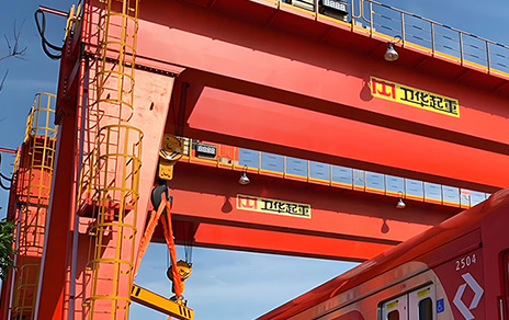 European Double Beam Gantry Crane-4